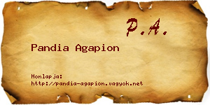 Pandia Agapion névjegykártya